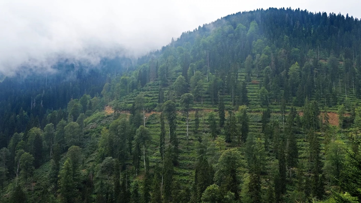 The Evolving ESG and Sustainability Landscape: Trends and Challenges for 2025 1 Art 70