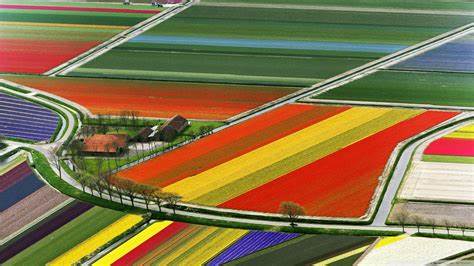 The Role of Foreign Investments in the Dutch Economy: From Volume to Value 1 Art 73