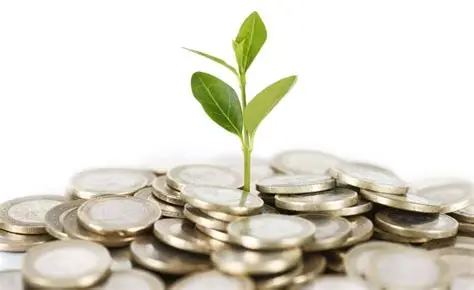 plant growing from coins as reference to prosperous economy