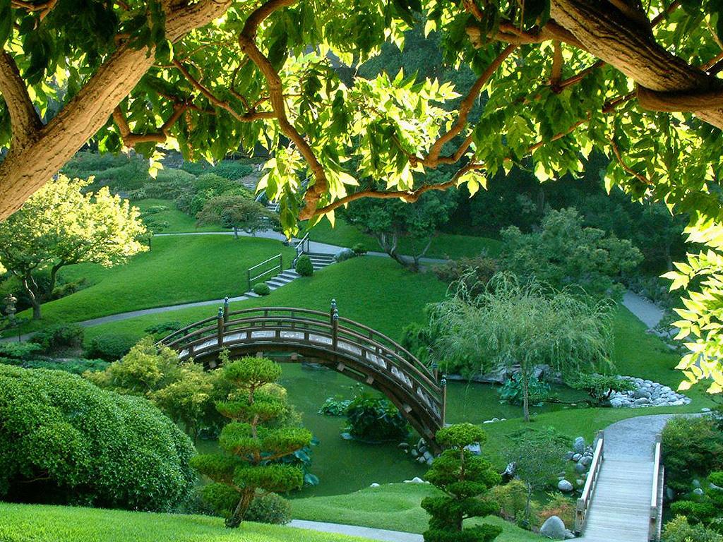 Japan Issues First-Ever Sustainability Disclosure Standards, Reaffirms Global Environmental Commitments